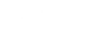 MiHIN-White